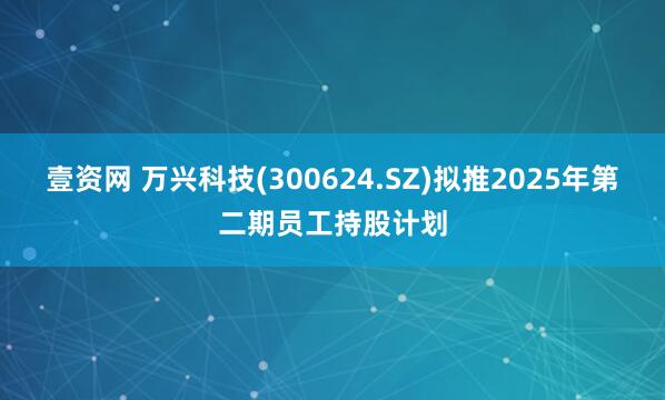 壹资网 万兴科技(300624.SZ)拟推2025年第二期员工持股计划