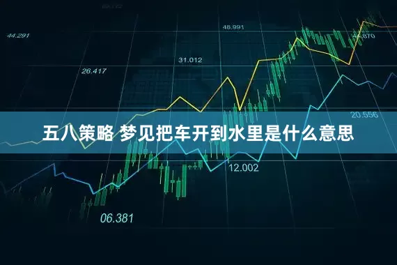 五八策略 梦见把车开到水里是什么意思