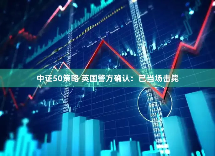 中证50策略 英国警方确认：已当场击毙