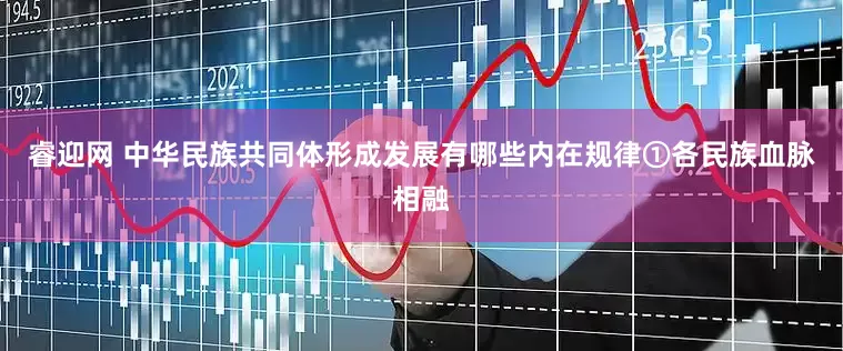 睿迎网 中华民族共同体形成发展有哪些内在规律①各民族血脉相融